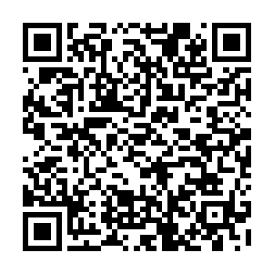 看着面前这个狠下心把那个咽着口水的小孩从米酿铺里面拖走的华族妇女二维码生成