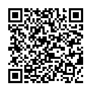 看着面前这个神色冷漠之中带着几分坚毅的光头女孩二维码生成