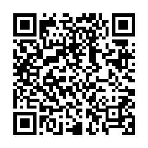 看着韩璐这么一个娇滴滴的小姑娘的脸上那一副楚楚可怜的神态二维码生成