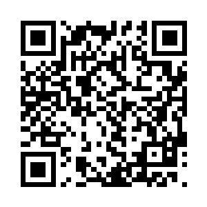 看着飞船指挥室大屏幕之上的探测结果二维码生成