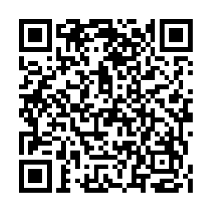 看着马文的身影终于抵达了遍地是珍珠的海岛上二维码生成