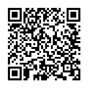 看着龙无双怀里的那个全都被金色血液也涂满的男人二维码生成