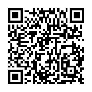 看自己在这方面是不是有可能训练一批合格的杀手出来二维码生成