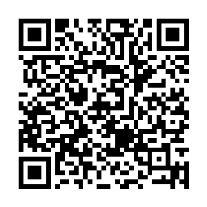 看苏父现在的样子就能想到当年苏父傻愣愣的模样二维码生成