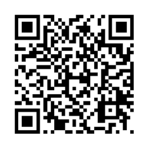 看苏青城那憨厚的样子觉得很是有趣二维码生成