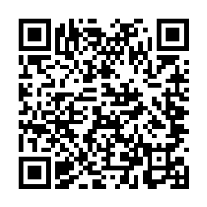 看见一个黑袍墨发的俊美少年缓缓从花海中走过来二维码生成