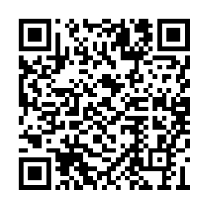 看见不远处那支仍旧整齐的队伍与侧面的女子时二维码生成