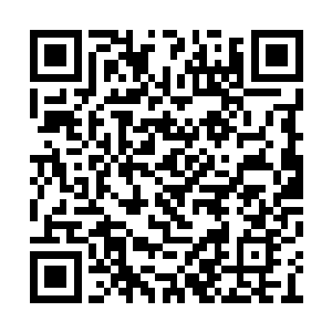 看见乔霆没有听从导师命令回到地面部队的后方二维码生成