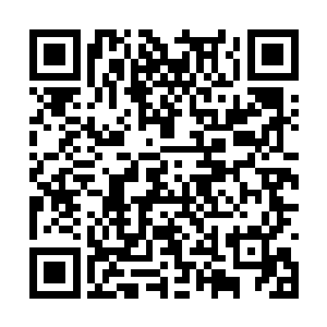 看见宁温这样说话只怕是恨不得把心挖出来给他看二维码生成