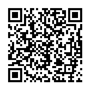 看见完好无损的飞船和数里外依然活着的小金龙和小凤凰二维码生成