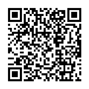 看见杨洛嘴角带着若有若无的笑意站在刑警队大门口二维码生成