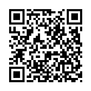 看见自家仙主大人被老仙主抽得不要不要的二维码生成