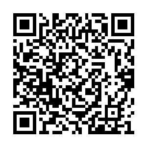 看见迎上来的李醒娇俏精致的脸蛋上讨好的笑容二维码生成