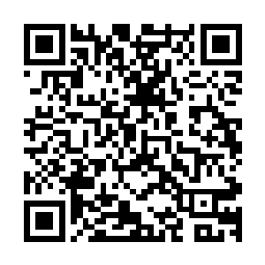 看见那辆三菱蒙特罗摇晃着径直钻入颠簸不平的泥路冲了过来二维码生成