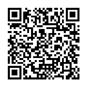 看起来……这神兽似乎是本能地感到了某种危险二维码生成