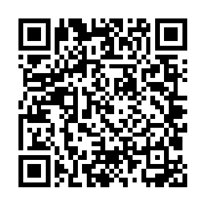 看起来一片和谐的场景是他肖想了许多年的场景二维码生成