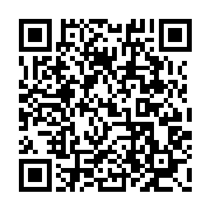 看起来丹尼并非是完全不通人情世故――或者说二维码生成