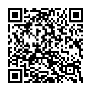 看起来也不想是他或者两个弟弟之中的任何一个二维码生成
