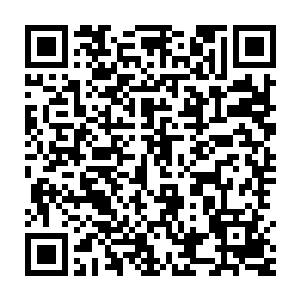 看起来五大家族的名号在这些东盛普通居民心中真的是噩梦般的存在二维码生成