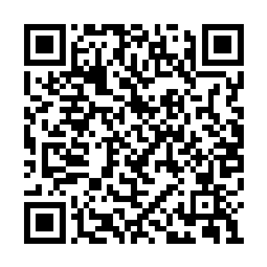 看起来仿佛是一只只围绕着剑尘翩翩飞舞的蝴蝶二维码生成