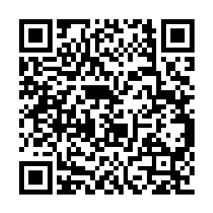 看起来似乎都正在顺着他所希望的方向前进……二维码生成