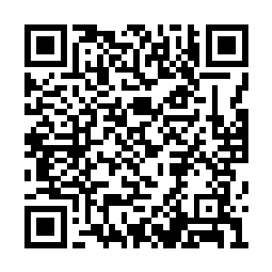 看起来你丝毫没有受到血脉当中那些情绪的影响二维码生成