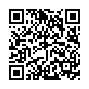 看起来和以前是完全两个不同品种的灵兽二维码生成