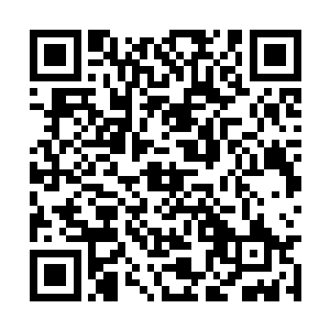 看起来就像是一个坏心小鬼在想着什么新的坏主意二维码生成