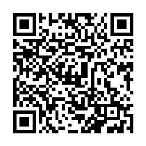 看起来就像是给荣光凑足比赛要求的十一个人一样二维码生成