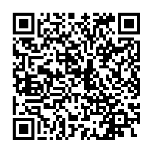 看起来就好像是凤凰翎羽一样的红色水晶棒也出现在了安琪儿的手中二维码生成