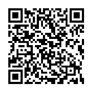 看起来根本不像是在洛杉矶呼风唤雨的顶尖巨星二维码生成