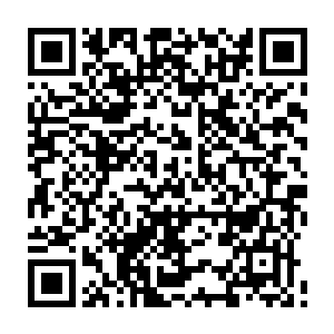 看起来罗伊已经是有些迫不及待地想抛开罗伯特这个相当重要的董事会成员二维码生成