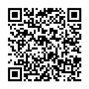 看起来这种程度的美色的确引不起你什么兴趣了二维码生成