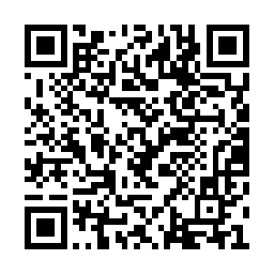 看过去一个大海雏形出现在洛离的太初洞天之中二维码生成