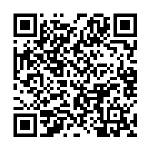 看这些有资格提名诺贝尔奖的大佬们什么时候关注到你二维码生成