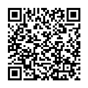 看连鹰的神色和那八尊长老以及一百二十个冥夜剑卫二维码生成