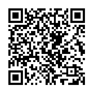 看那些人每次都被这两个女人耍的团团转时就感觉特别痛快二维码生成