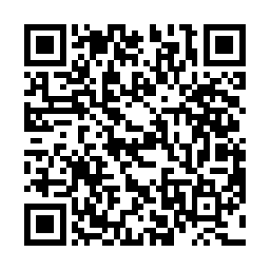 看那些石材之上长满的各种水草和一些附着的生物遗骸二维码生成
