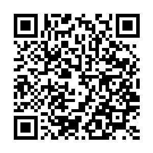 看那满地的黑炭和未燃尽的树枝就能回想到昨天的盛大场景二维码生成