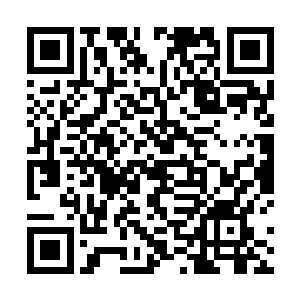 看那速度甚至比刚才救公主时追敌的速度还要快上一些二维码生成