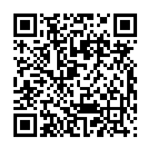 看长生有什么法子当真这么多人的面问出什么事来二维码生成