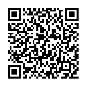 看门口几片不知从哪里飘来的枯叶随着凉风翻滚二维码生成