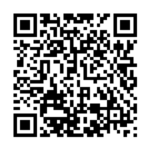 真不知道为何我那搭档会找了个这样的女人来带班二维码生成