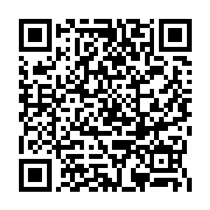 真不知道性格迥异的两个人是怎么在一起生活的二维码生成