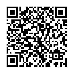 真不知道是哪里来的自信心还敢三番两次的说被人无聊二维码生成