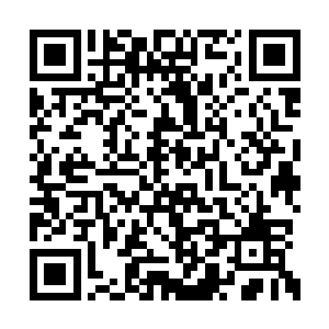 真不知道这个麦克会把我的帮会改造成什么样子二维码生成