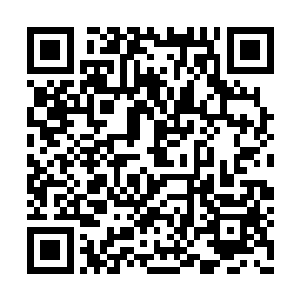 真不知道这家伙伪装天赋到底开启到第几形态了二维码生成