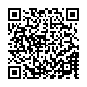 真不知道这辈子摊上这么个倔脾气的老头子是好事还是坏事二维码生成