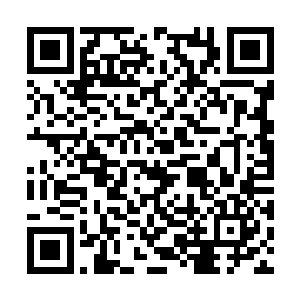 真不行就呆在这百断之地或者是去神界的一些禁地二维码生成