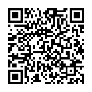 真人类帝国还是你们修真者国度在未来的王朝末期二维码生成